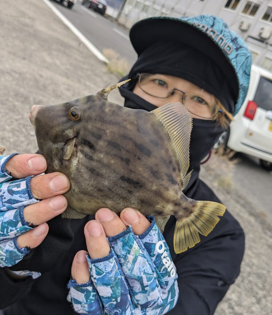 髙松　G地区　カワハギ　2023年9月